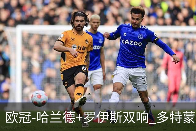欧冠-哈兰德+罗伊斯双响 多特蒙德5-0大胜进欧联